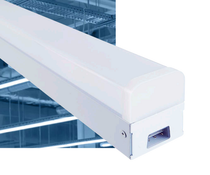 led RPLB holder 1