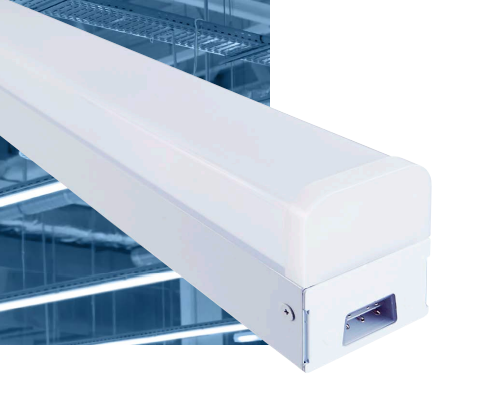 led RPLB holder 1
